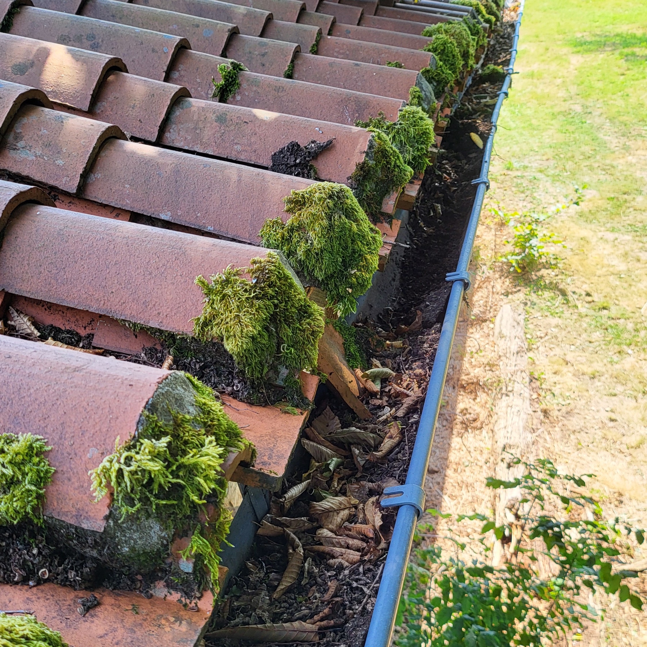 gutters before